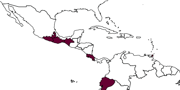 map of Perditorulus calcaratus     Hansson, 1996
